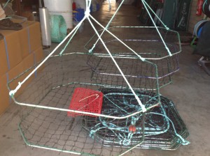 crab net 2